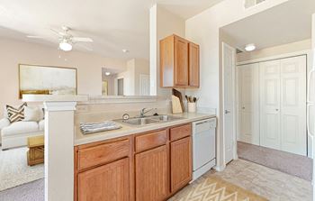 Dominium-The Cesera-Kitchen